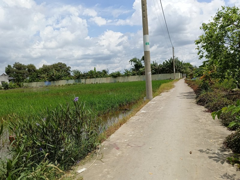 Bán đất An Phú Tây Bình Chánh, 1666 m2, giá 5.3 tỷ