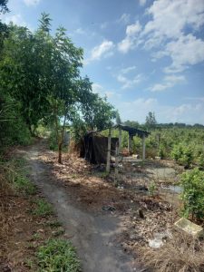 Bán đất Bình Lợi Bình Chánh, 1000 m2, giá 4.8 tỷ