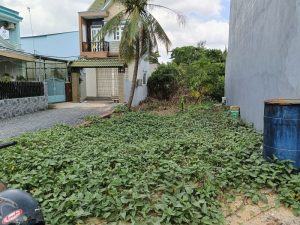 Bán đất Hưng Long Bình Chánh, 1149 m2, giá 2.3 tỷ