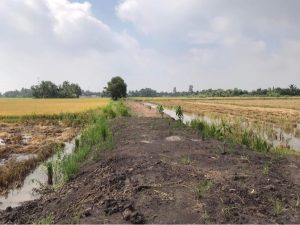 Bán đất Tân Nhựt Bình Chánh, 10210 m2, giá 28 tỷ