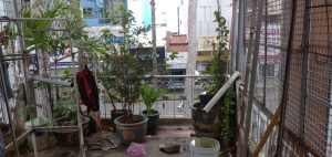 Bán nhà mặt tiền đường Trần Hưng Đạo Quận 1, giá 35 tỷ