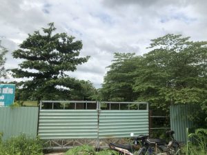 Bán đất Đa Phước Bình Chánh, 1285 m2, giá 6.2 tỷ