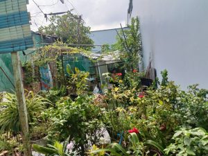 Bán đất Tân Kiên Bình Chánh, 72 m2, giá 3.6 tỷ