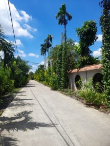 Bán đất Tân Quý Tây Bình Chánh, 173 m2, giá 1 tỷ