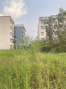 Bán đất Vĩnh Lộc B Bình Chánh, 64 m2, giá 0.75 tỷ